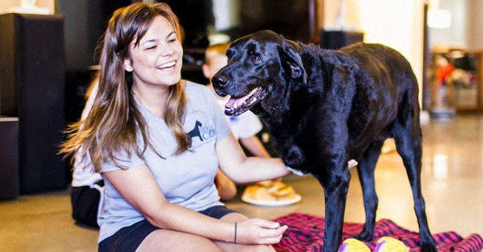 El ÚLTIMO día de vida de Dukey el perro... Su despedida fue simplemente hermosa y emotiva