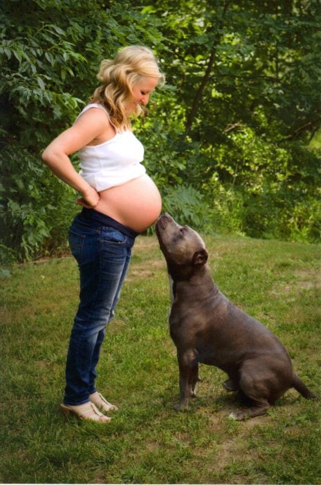 perro besando la panza de su dueña que esta embarazada 