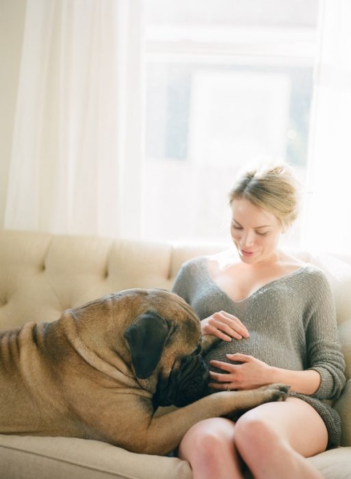 perro sentado junto a su dueña que esta embarazada en un sofá