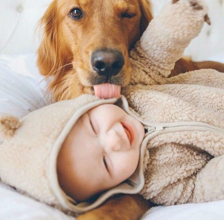 perro lamiendo el cachete de un bebé que esta recostado en la cama 