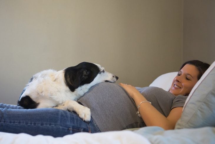perro dormido junto a su dueña que está embarazada 
