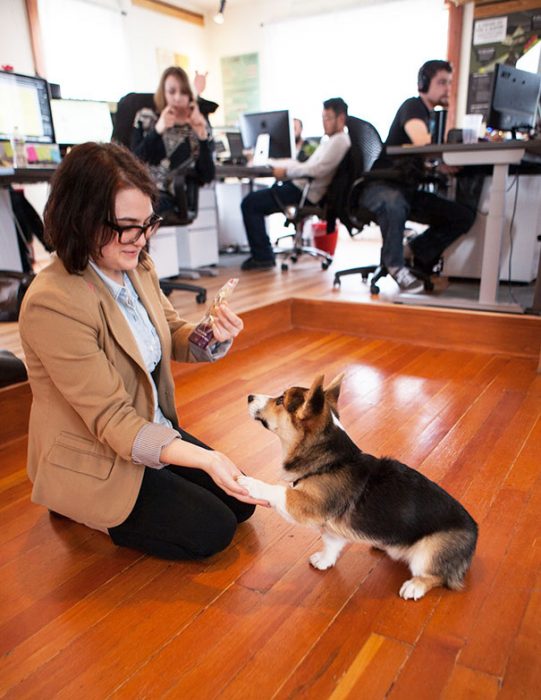 perro con su dueña en la oficina 