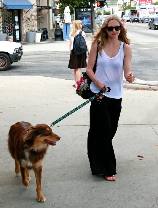 Amanda Seyfried sacando a pasear a su perro 