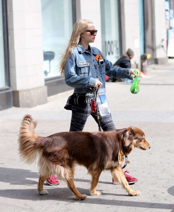 Chica levantando los desechos de un perro 