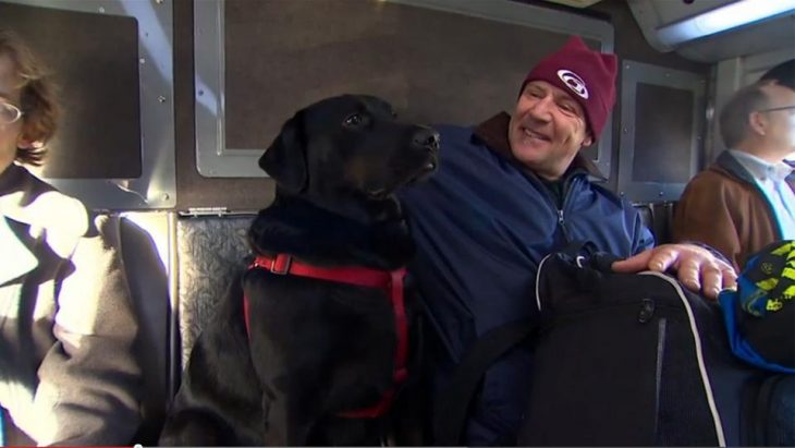 perro que esta sentado en el asiento de un autobús mientras un hombre le acaricia la cabeza 