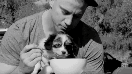 GIF Channing tatum dandole de comer a un perrito 