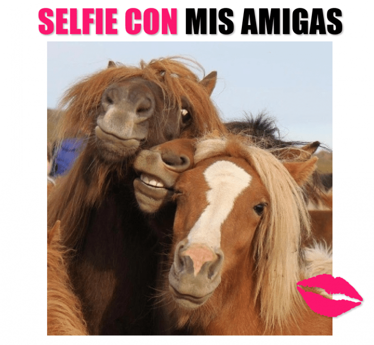 Meme de selfie con mis amigas 