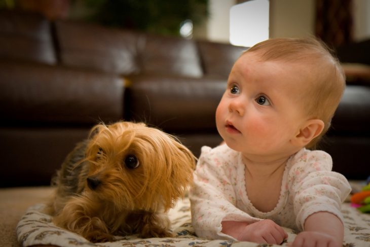 Perro cachorro y bebé en el piso con la misma mirada