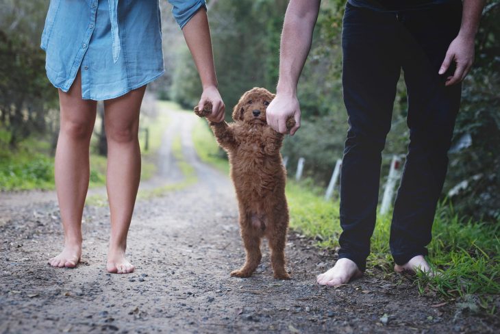 Pareja de novios sosteniendo de las patas a un cachorro café 