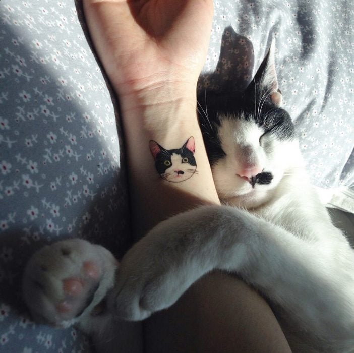 tatuajes gatos (1)