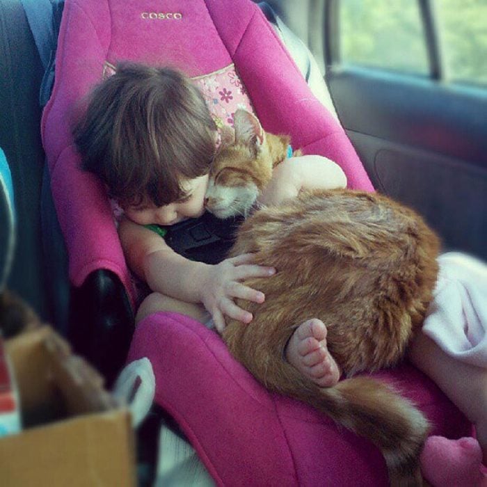 bebé con gato en asiento de bebé