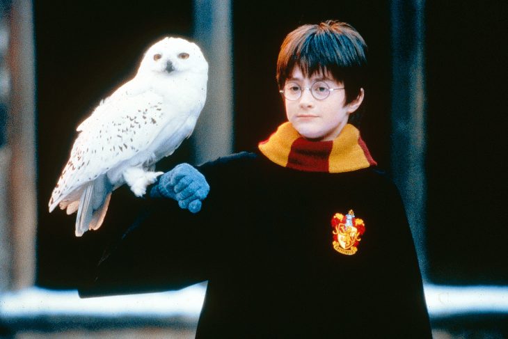 Harry potter sosteniendo a su lechuza hadwing en un brazo 