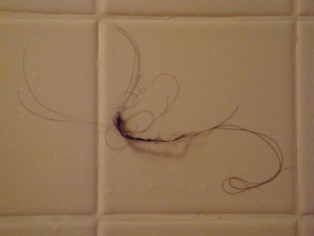 pelos en la ducha