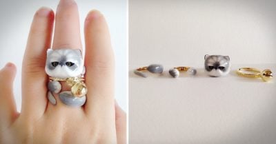 Anillos de 3 piezas que juntos se convierten en un adorable animal