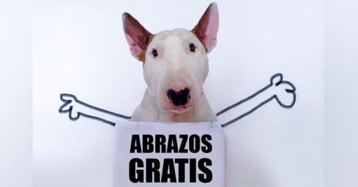 10 Tipos de abrazos que dan los perros ¡Son los mejores!