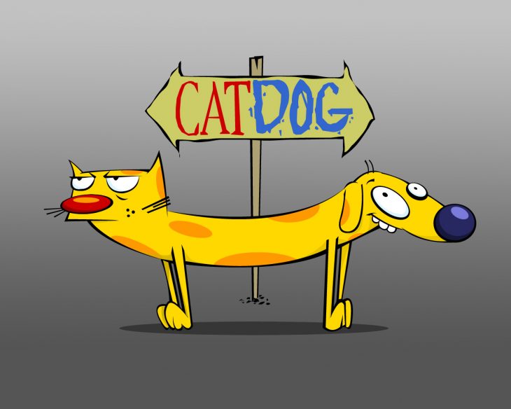 CatDog