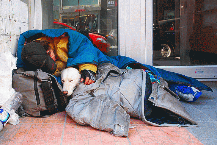 Persona durmiendo en la calle junto a su perro 