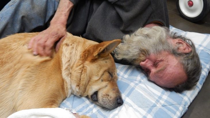 Persona sin hogar acostada junto a su perro 