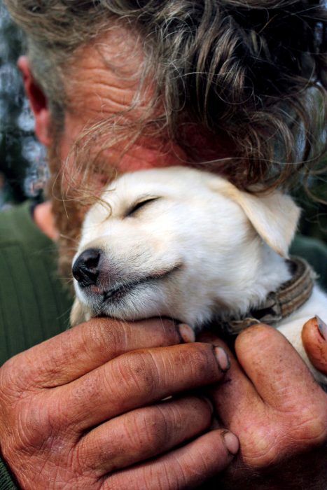 Persona sin hogar y su pequeño cachorro 