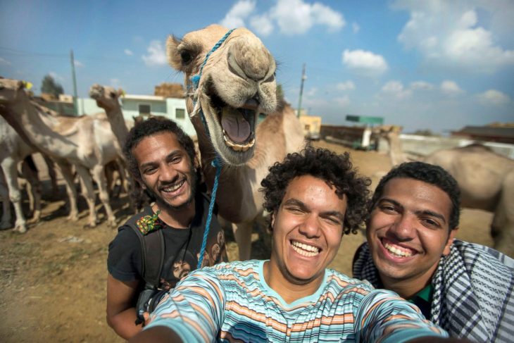 photobomb selfie tres chicos con un camello