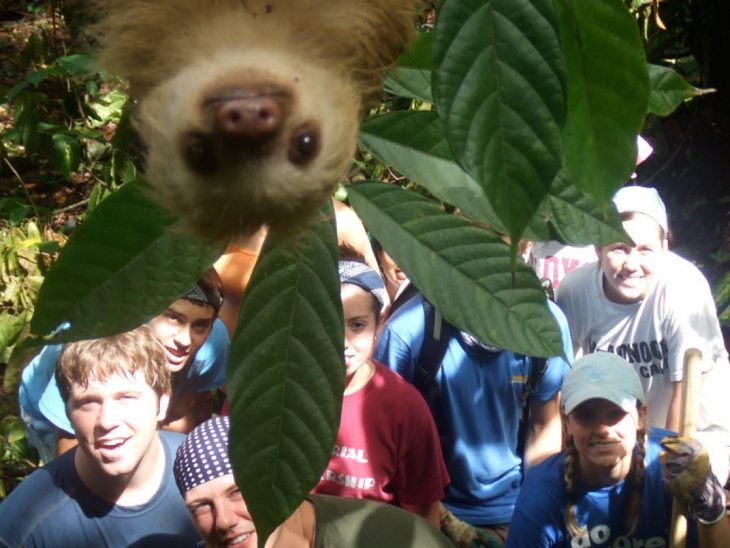 photobomb koala interrumpe foto de turistas