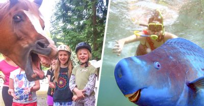 30 Animales que se colaron en la foto de la manera más divertida