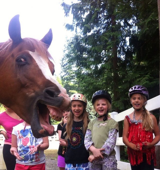 photobomb caballo con niños