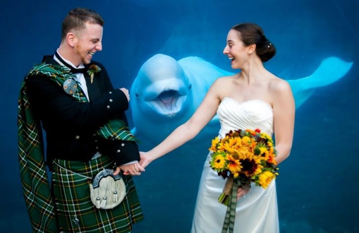 photobomb boda pareja escocesa con delfín atrás