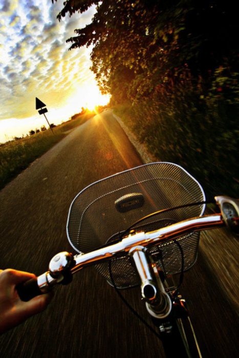 bicicleta con camino al frente