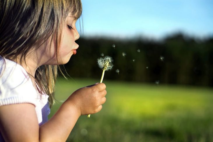 niña soplando un diente de león