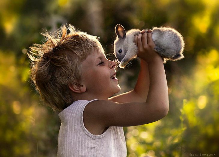 niño jugando con un conejo