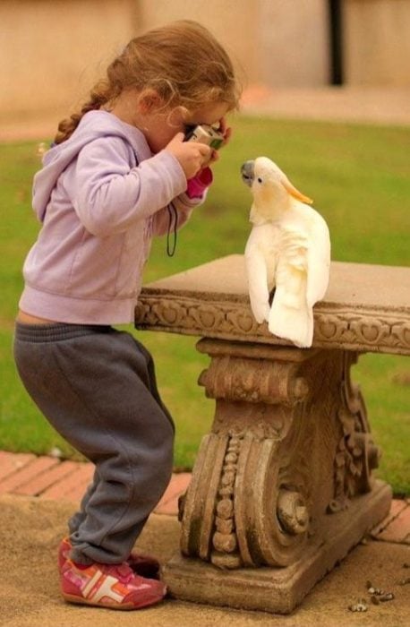 niña fotografiando un ave