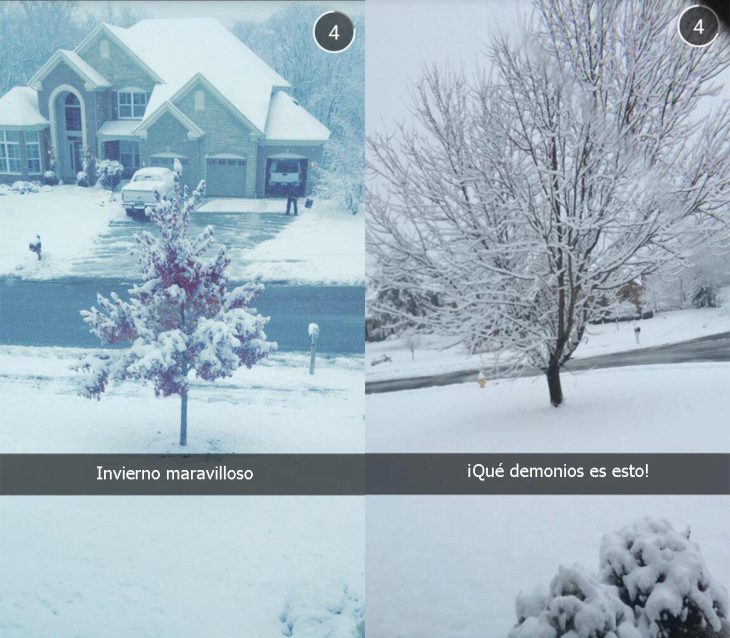 Hay dos tipos de reacciones durante el invierno 