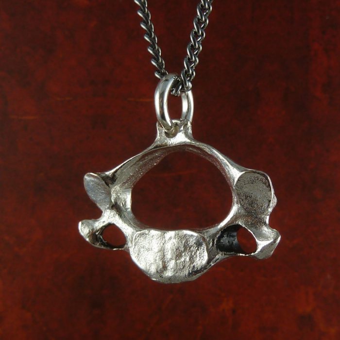 Joyeria de anatomía humana (26)