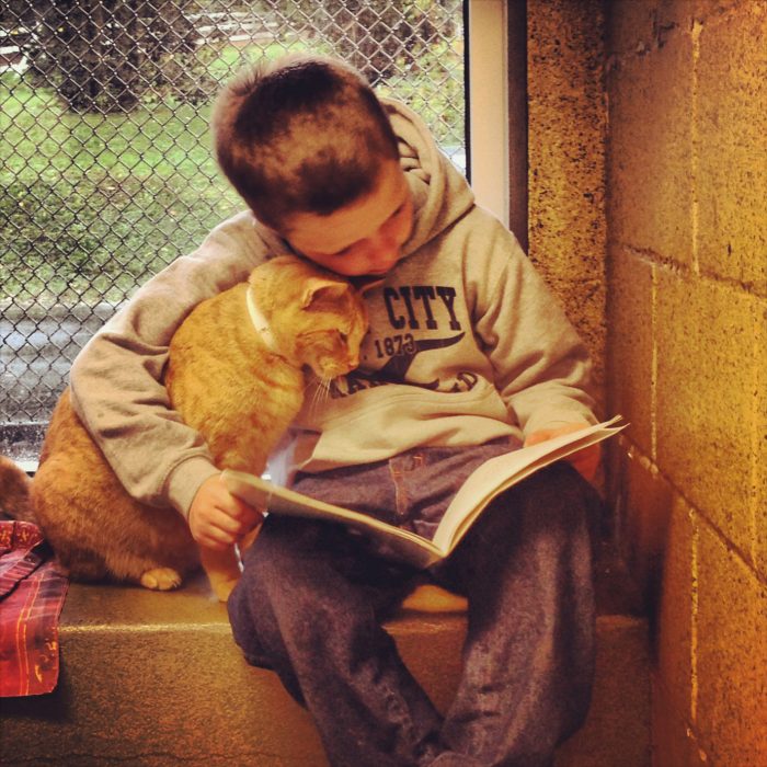 Niño lee cuentos para los animales del refugio 