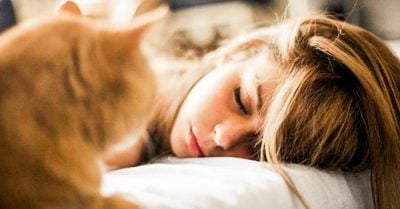 20 Terribles momentos que sólo las chicas que odian despertar podrán entender