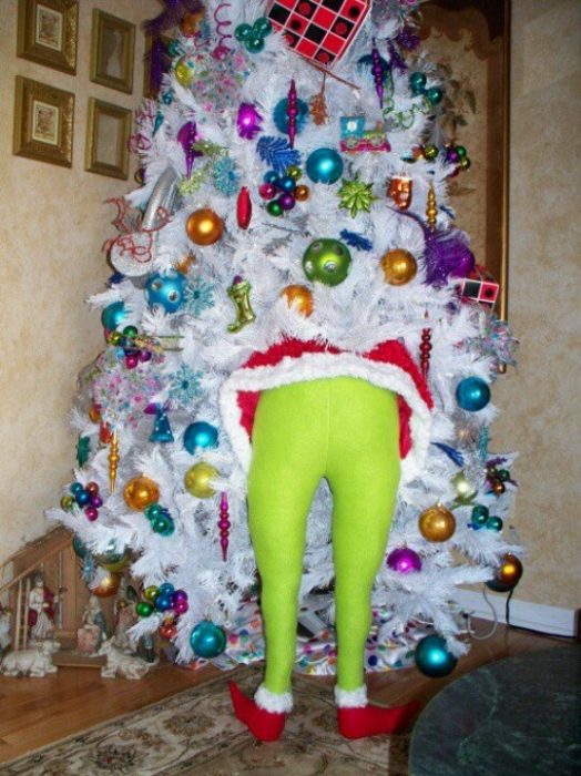 Grinch robándose un árbol de navidad