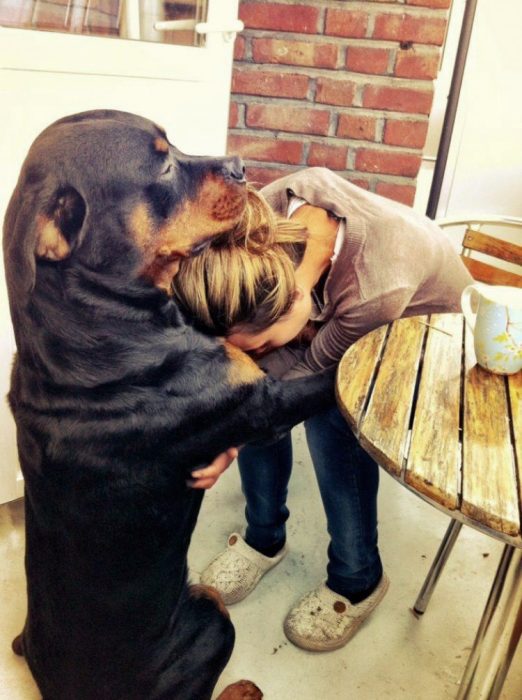 Chica abrazando a un perro 