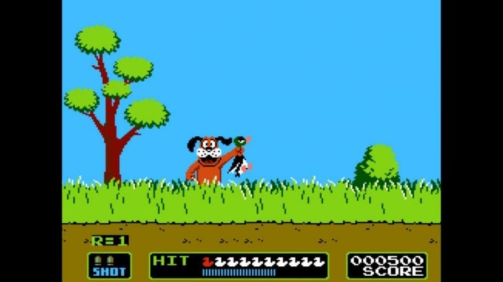 Video juego donde tenias que matar patos y tenia un perro risueño 