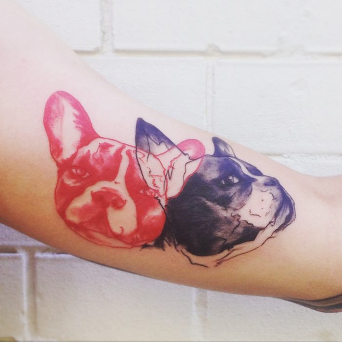 tatuaje de cabezas de bull dog frances en rojo y negro 