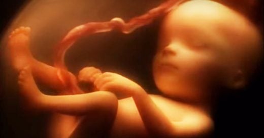 Video que muestra desde el interior, como se desarrolla un bebé en el vientre de su madre durante los 9 meses de embarazo