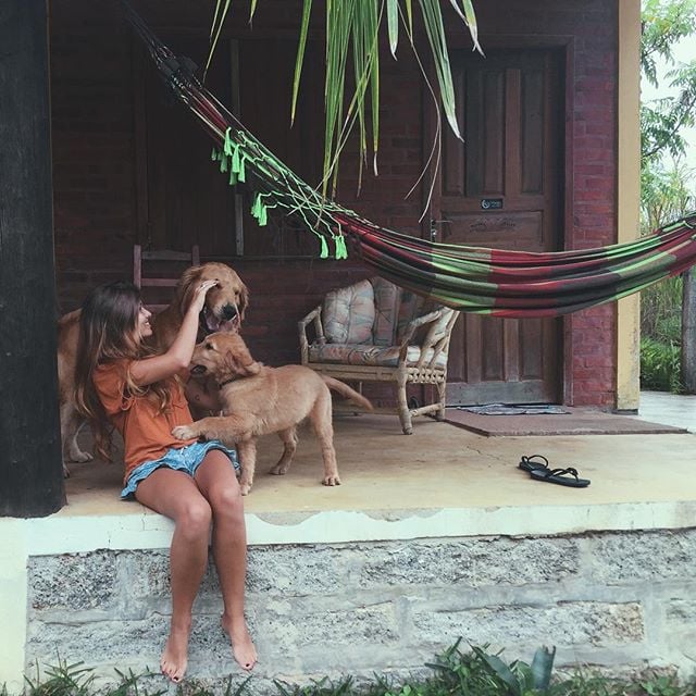 Chica alimentando a unos perros golden afuera de una casa