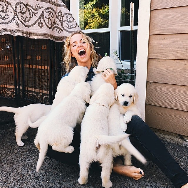 Chica rodeada de varios perros labrador