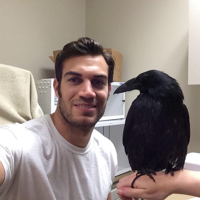 Veterinario Evan Antin con un cuervo 