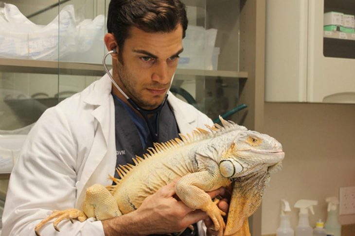 Veterinario Evan Antin con una iguana 