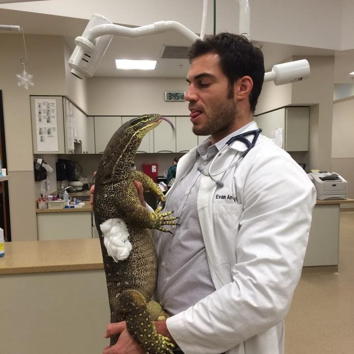 Veterinario Evan Antin cargando un lagarto 