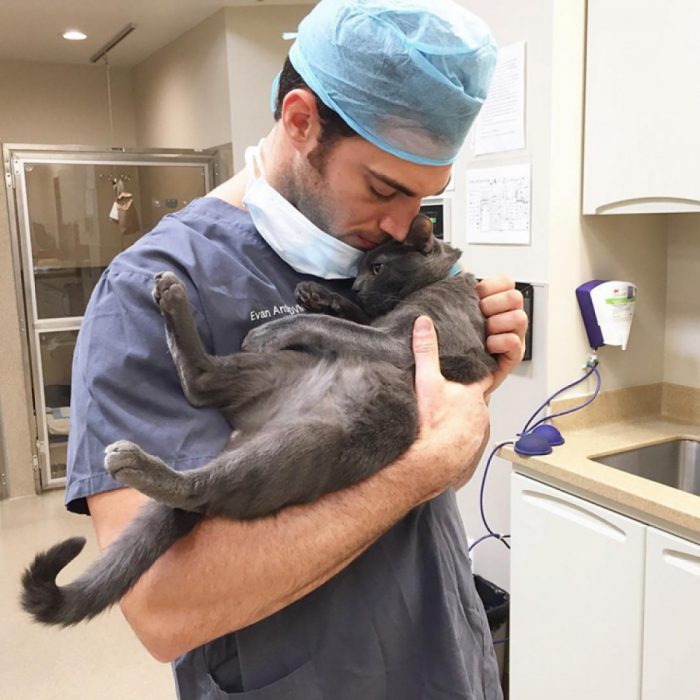 Veterinario Evan Antin con un gato 