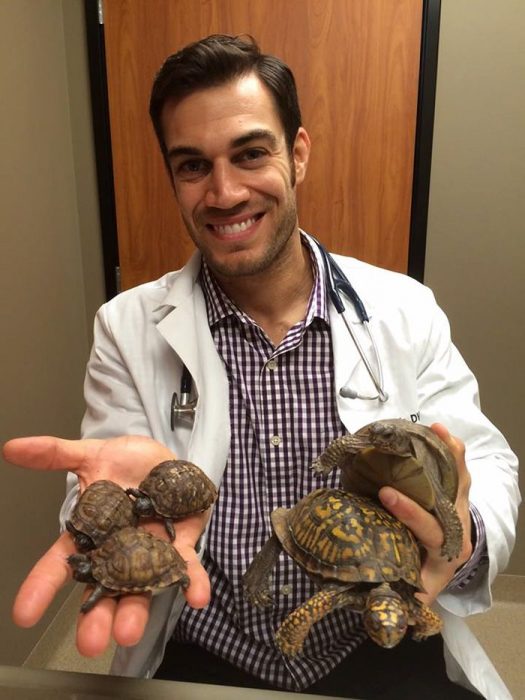 Veterinario Evan Antin con tortugas