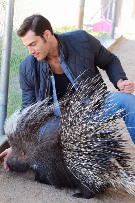 Veterinario Evan Antin con un puerco espín 