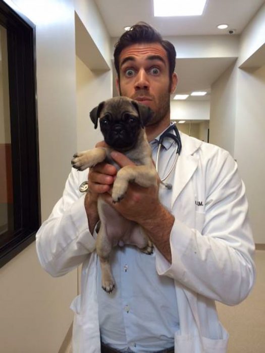 Veterinario Evan Antin con un pug